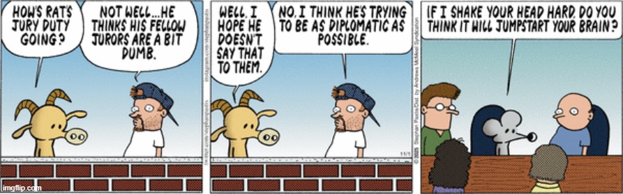Pearls Before Swine | image tagged in comics | made w/ Imgflip meme maker