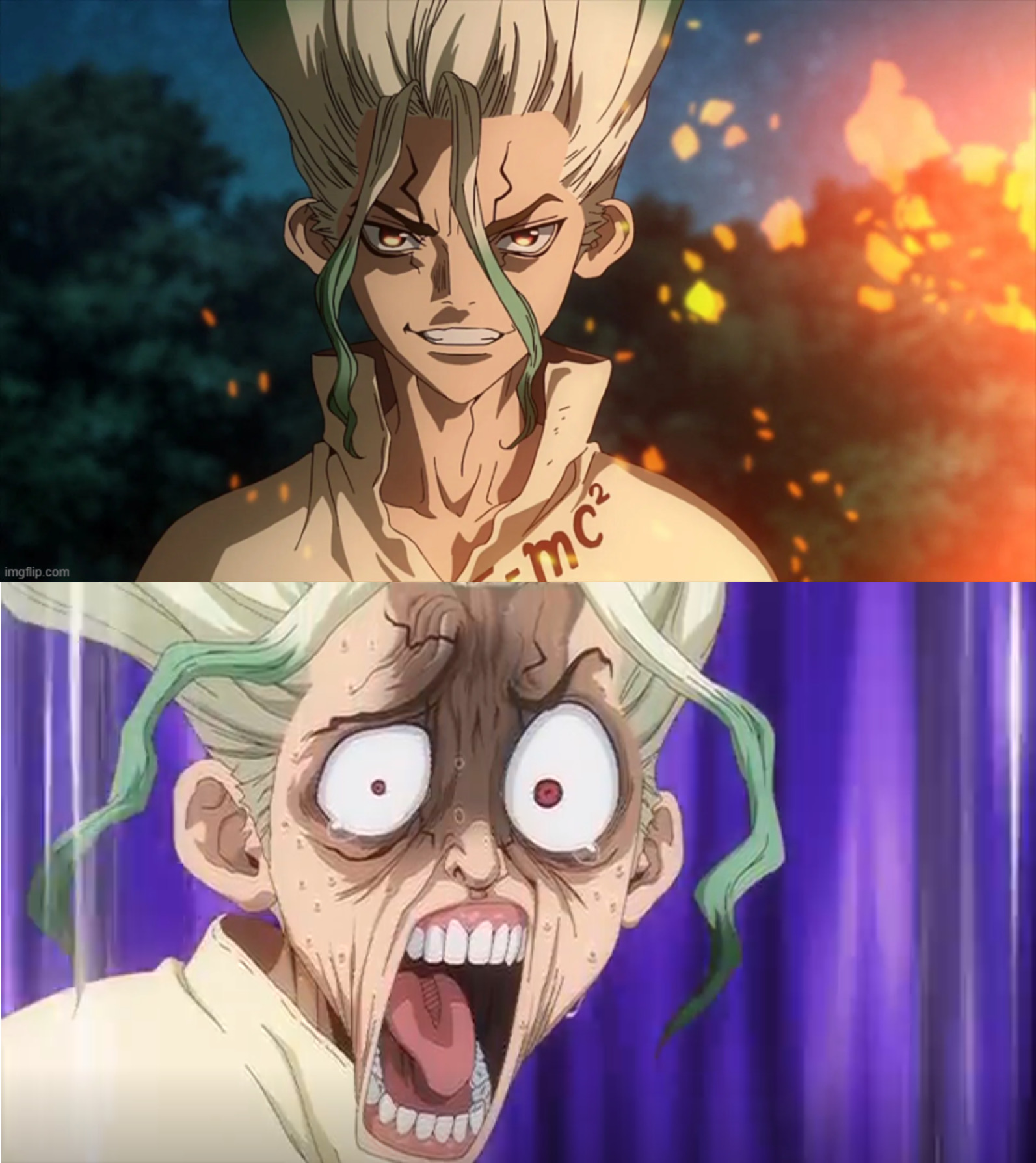 Dr. Stone shock Blank Meme Template