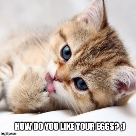 HOW DO YOU LIKE YOUR EGGS? ;) | made w/ Imgflip meme maker