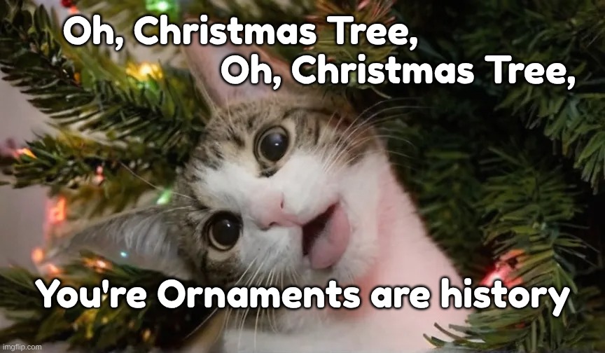 Kitty In the Tree | Oh, Christmas Tree,             
                    Oh, Christmas Tree, You're Ornaments are history | image tagged in christmas,christmas tree,cat,catnip | made w/ Imgflip meme maker