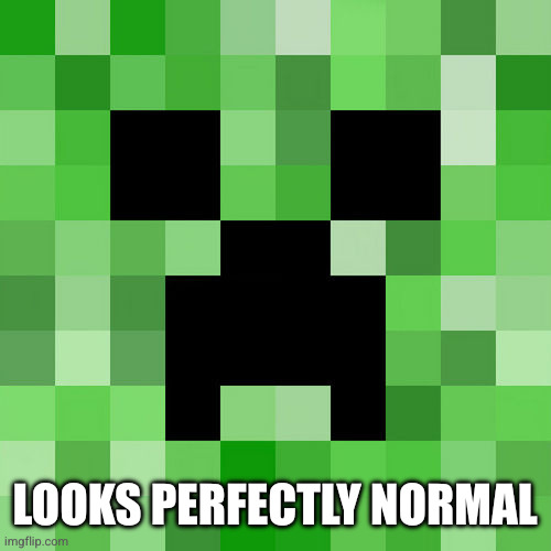 LOOKS PERFECTLY NORMAL | image tagged in memes,scumbag minecraft | made w/ Imgflip meme maker