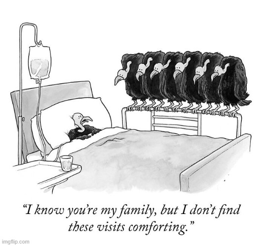 Family Visit | image tagged in comics | made w/ Imgflip meme maker