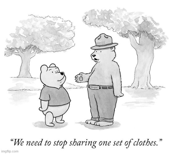 Bear Clothes | image tagged in comics,smokey bear,winnie the pooh,clothes,share,bears | made w/ Imgflip meme maker