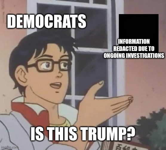 wishcasting and desperation | DEMOCRATS; INFORMATION REDACTED DUE TO ONGOING INVESTIGATIONS; IS THIS TRUMP? | image tagged in is this a pigeon,political meme | made w/ Imgflip meme maker