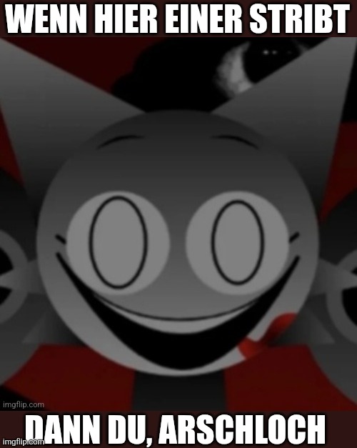 Wenn hier einer stribt, dann du, arschloch Blank Meme Template