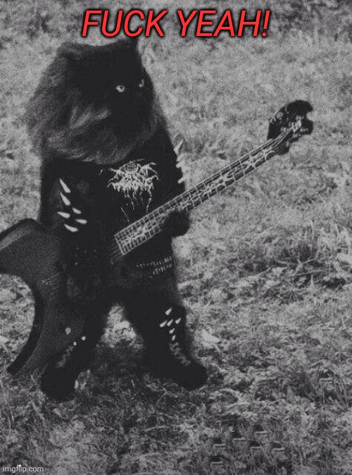 FUCK YEAH! | image tagged in black metal cat | made w/ Imgflip meme maker
