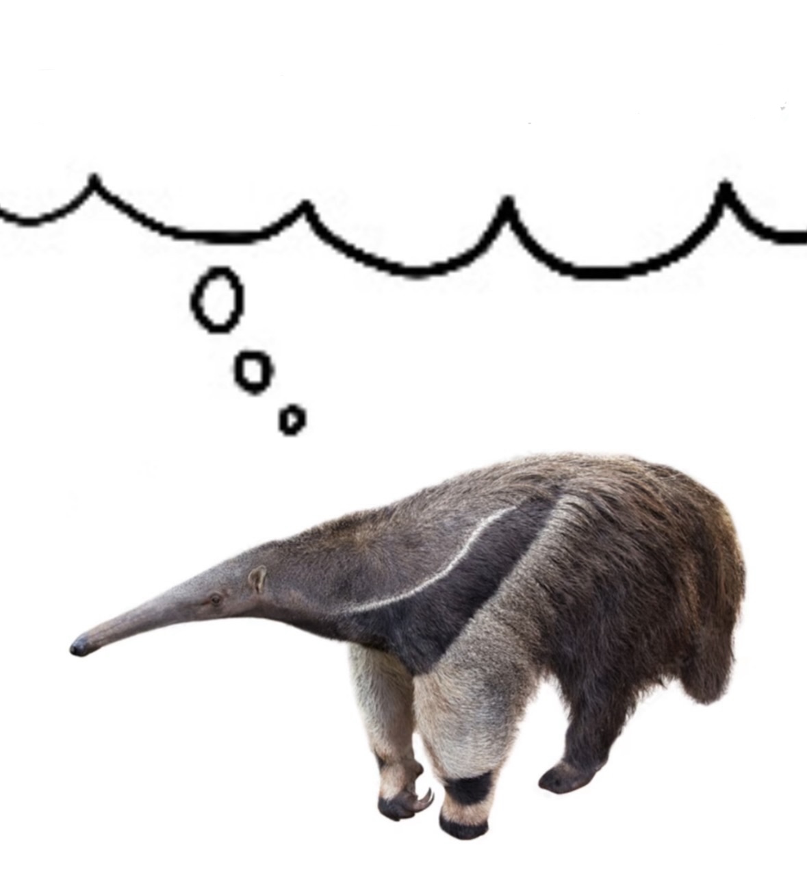 Mmm 10 ants anteater Blank Meme Template