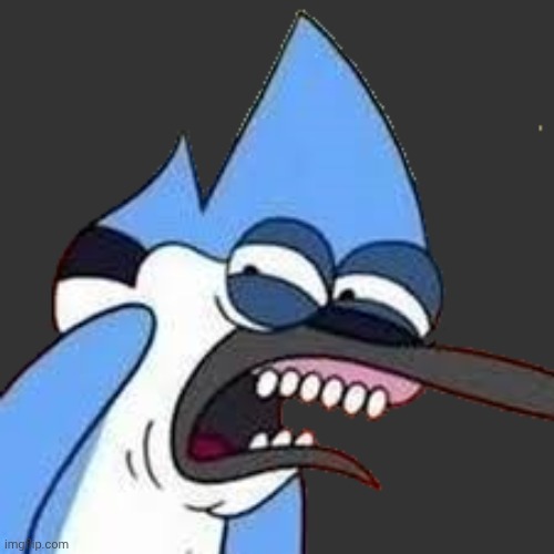 disgusted mordecai | image tagged in disgusted mordecai | made w/ Imgflip meme maker