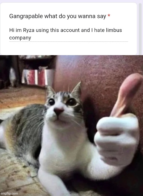 image tagged in cat thumbs up | made w/ Imgflip meme maker