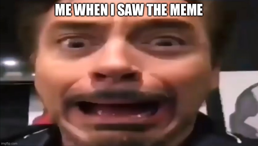 Robert Downey Jr Screaming | ME WHEN I SAW THE MEME | image tagged in robert downey jr screaming | made w/ Imgflip meme maker