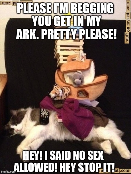 PLEASE I'M BEGGING YOU GET IN MY ARK. PRETTY PLEASE! HEY! I SAID NO SEX ALLOWED! HEY STOP IT! | made w/ Imgflip meme maker