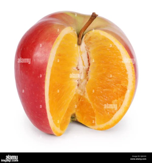 newely discovered fruits. apporange | made w/ Imgflip meme maker