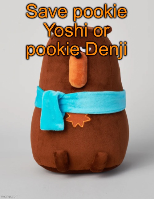 Reveal: it was VtS | Save pookie Yoshi or pookie Denji | image tagged in falstaff plush,voting game s14 | made w/ Imgflip meme maker