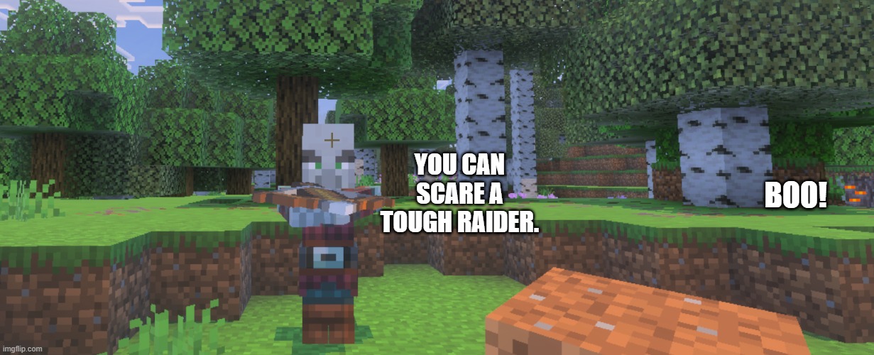 Pillager | YOU CAN SCARE A TOUGH RAIDER. BOO! | image tagged in pillager | made w/ Imgflip meme maker