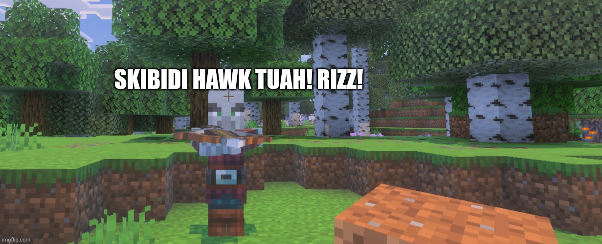 Pillager | SKIBIDI HAWK TUAH! RIZZ! | image tagged in pillager | made w/ Imgflip meme maker