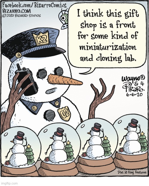 Bizarro Comics | image tagged in comics,bizarro comics,snowman,police,snow globes,cloning | made w/ Imgflip meme maker