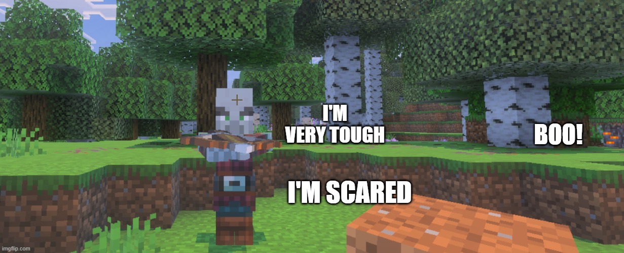 Pillager | I'M VERY TOUGH; BOO! I'M SCARED | image tagged in pillager | made w/ Imgflip meme maker