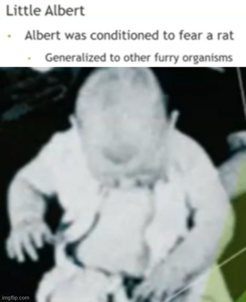 albert | made w/ Imgflip meme maker