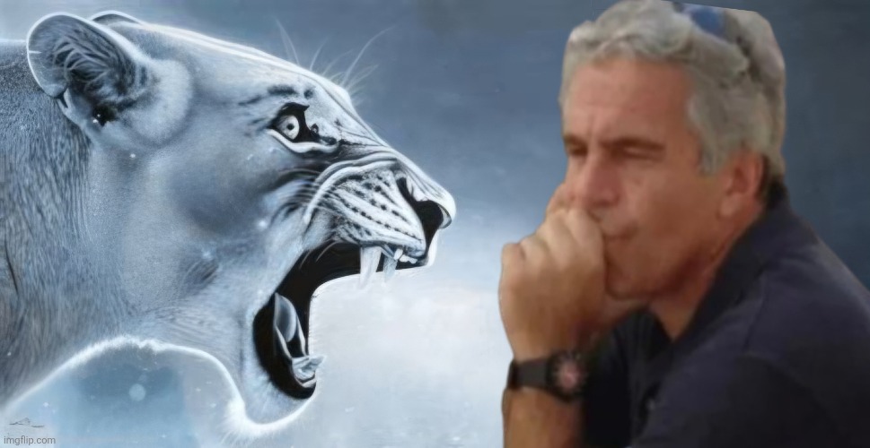 tiger yelling at jeffrey epstein | image tagged in tiger yelling at jeffrey epstein | made w/ Imgflip meme maker