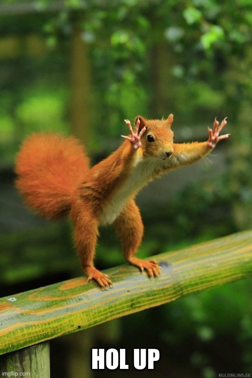 Wait a Minute Squirrel | HOL UP | image tagged in wait a minute squirrel | made w/ Imgflip meme maker