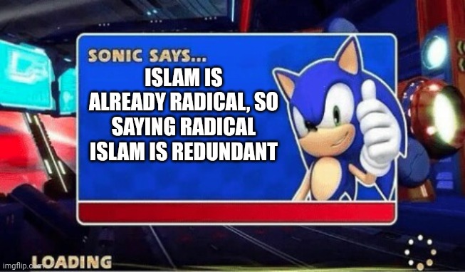 Radical Islam is a redundant term | ISLAM IS ALREADY RADICAL, SO SAYING RADICAL ISLAM IS REDUNDANT | image tagged in sonic says | made w/ Imgflip meme maker