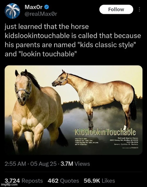 Mfs naming their horses anything nowadays | made w/ Imgflip meme maker