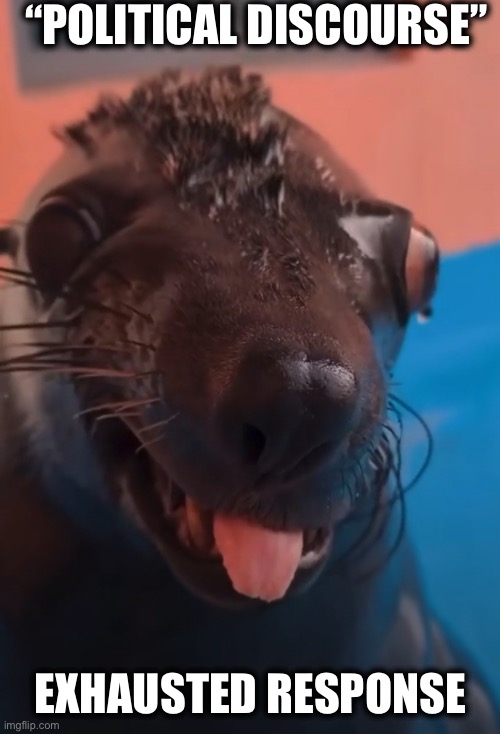 Silly Sea Lion | “POLITICAL DISCOURSE”; EXHAUSTED RESPONSE | image tagged in silly sea lion | made w/ Imgflip meme maker