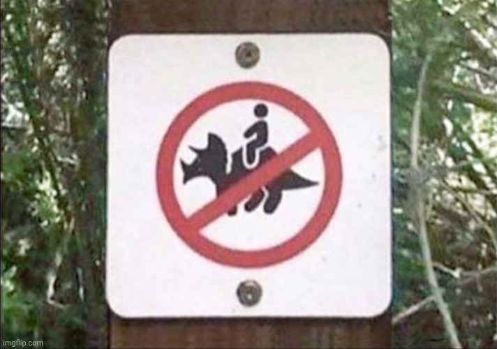No triceratops riding sign | image tagged in no triceratops riding sign | made w/ Imgflip meme maker
