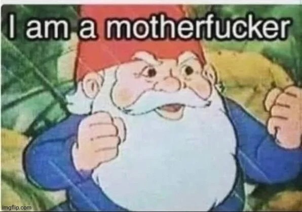 y | image tagged in y | made w/ Imgflip meme maker