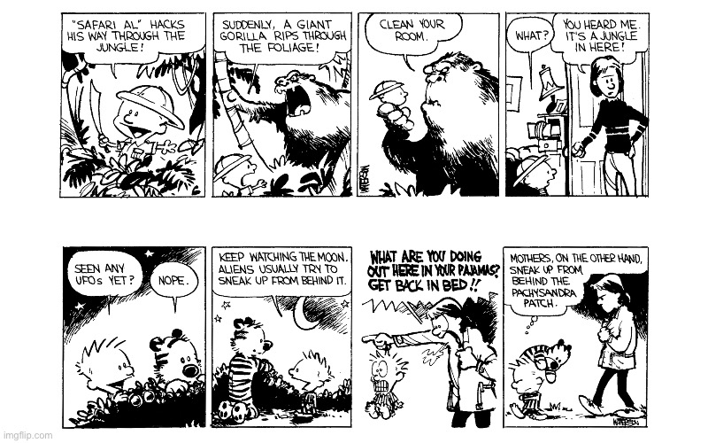image tagged in calvin and hobbes,comics | made w/ Imgflip meme maker