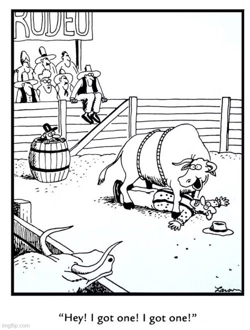 Earl was slowing down in his old age and the bull finally got him… | image tagged in the far side,comics,rodeo,clown,bull | made w/ Imgflip meme maker