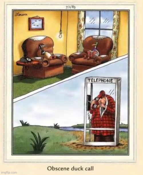 Imagine that… | image tagged in the far side,comics,ducks,obscene call,hunter | made w/ Imgflip meme maker