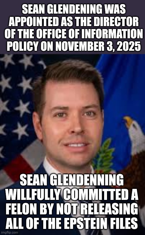 If I Were A Betting Man I'd Bet Sean Glendenning Got His Pardon In Writing BEFORE He Agreed To Commit A Felony For Donald Trump | SEAN GLENDENING WAS APPOINTED AS THE DIRECTOR OF THE OFFICE OF INFORMATION POLICY ON NOVEMBER 3, 2025; SEAN GLENDENNING WILLFULLY COMMITTED A FELON BY NOT RELEASING ALL OF THE EPSTEIN FILES | image tagged in memes,impeach trump,lock him up,jeffrey epstein,trump unfit unqualified dangerous,unconstitutional | made w/ Imgflip meme maker