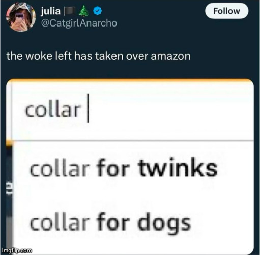 they've taken over | image tagged in sad but true,twink,twinkie,dog collar,collar,amazon | made w/ Imgflip meme maker