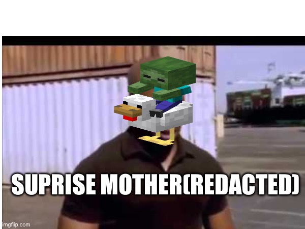 SUPRISE MOTHER(REDACTED) | made w/ Imgflip meme maker
