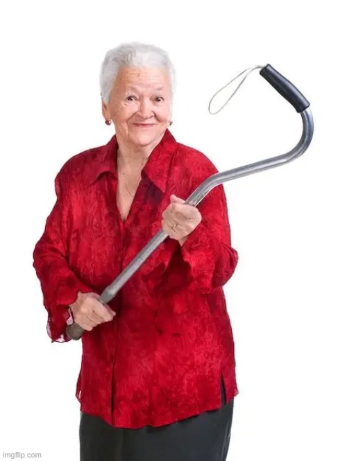 granny | image tagged in granny | made w/ Imgflip meme maker