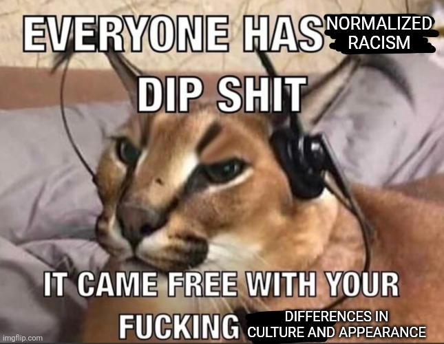 Everyone Has X Dipshit | NORMALIZED RACISM DIFFERENCES IN CULTURE AND APPEARANCE | image tagged in everyone has x dipshit | made w/ Imgflip meme maker