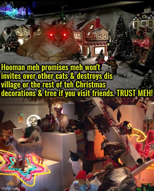 Never Trust The Cat | Hooman meh promises meh won't invites over other cats & destroys dis village or the rest of teh Christmas decorations & tree if you visit friends. TRUST MEH! | image tagged in cats,funny cats,christmas,christmas with cats,destruction,liar liar pants on fire | made w/ Imgflip meme maker