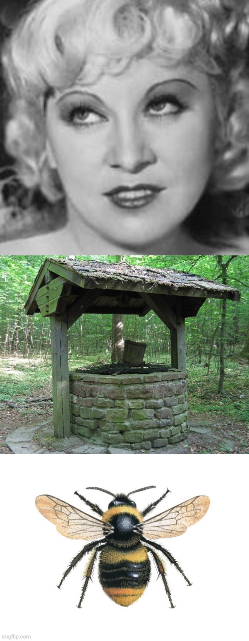 May well be | image tagged in puns,may west,bees,merry merry month of may | made w/ Imgflip meme maker