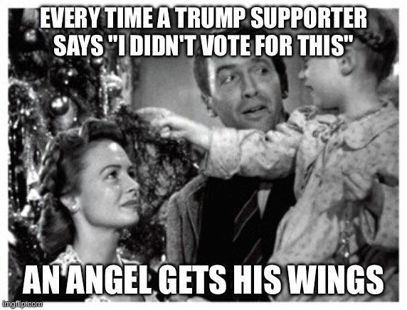 It's a wonderful life bell scene  | EVERY TIME A TRUMP SUPPORTER SAYS "I DIDN'T VOTE FOR THIS"; AN ANGEL GETS HIS WINGS | image tagged in it's a wonderful life bell scene | made w/ Imgflip meme maker