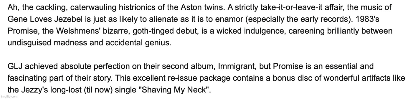 when someone puts this much effort into an amazon review you KNOW the album is peak | made w/ Imgflip meme maker