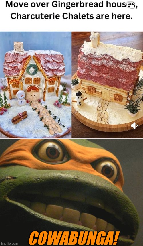 IS RATHER HAVE THAT! | COWABUNGA! | image tagged in tmnt mikey,pizza,gingerbread,merry christmas,tmnt,pizza time | made w/ Imgflip meme maker
