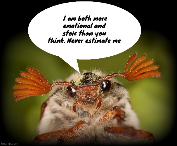 Doodlebug/odd announcement temp | I am both more emotional and stoic than you think. Never estimate me | made w/ Imgflip meme maker