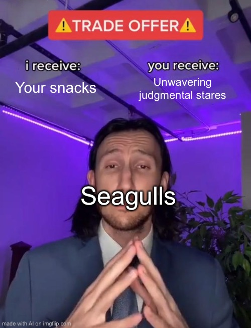 Trade Offer | Your snacks; Unwavering judgmental stares; Seagulls | image tagged in trade offer | made w/ Imgflip meme maker
