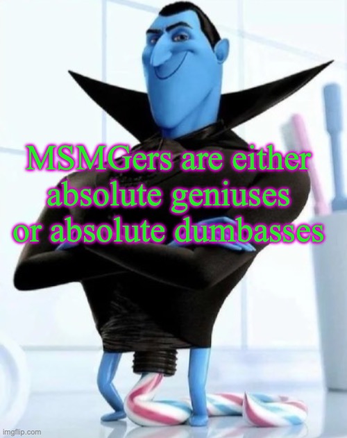 merry Christmas, I won't be on again until after the new year | MSMGers are either absolute geniuses or absolute dumbasses | image tagged in in what situation would you need to use this image | made w/ Imgflip meme maker