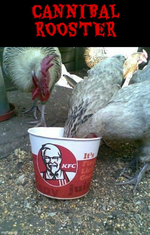 Cannibal Rooster | CANNIBAL ROOSTER | image tagged in cursed images,rooster,cannibalism,excuse me wtf,kfc,dark humour | made w/ Imgflip meme maker