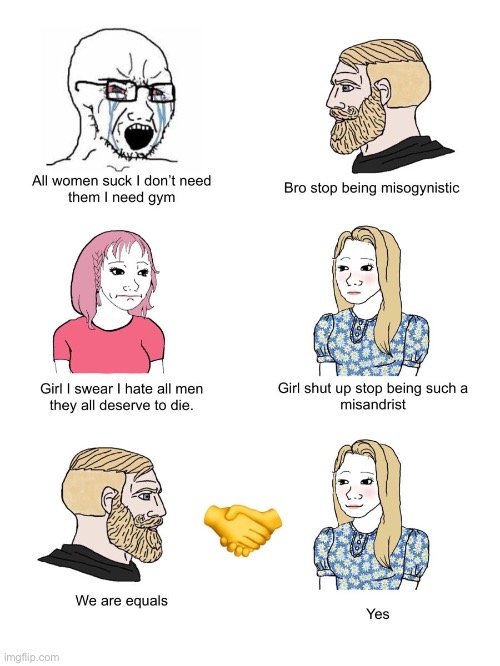 Btw this is what true feminism is!! | image tagged in misogyny,misandry,feminism,truth | made w/ Imgflip meme maker