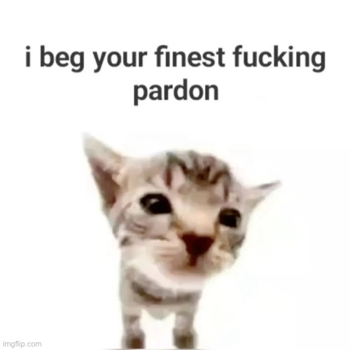 I beg your finest pardon | image tagged in i beg your finest pardon | made w/ Imgflip meme maker