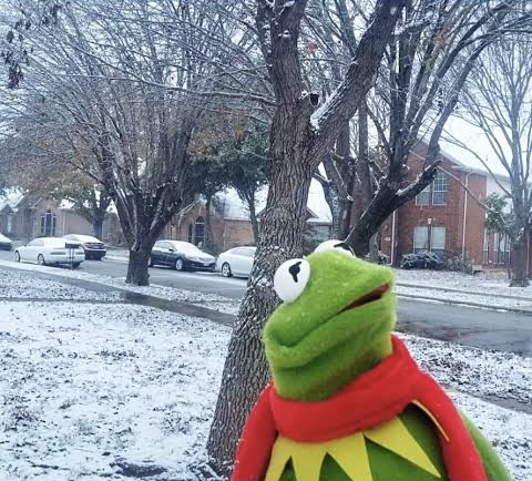 Frog Blank Meme Template