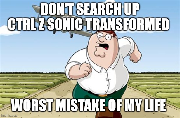 For the sonic fandom | DON'T SEARCH UP CTRL Z SONIC TRANSFORMED; WORST MISTAKE OF MY LIFE | image tagged in worst mistake of my life | made w/ Imgflip meme maker